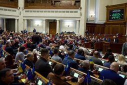 7 дней на референдум